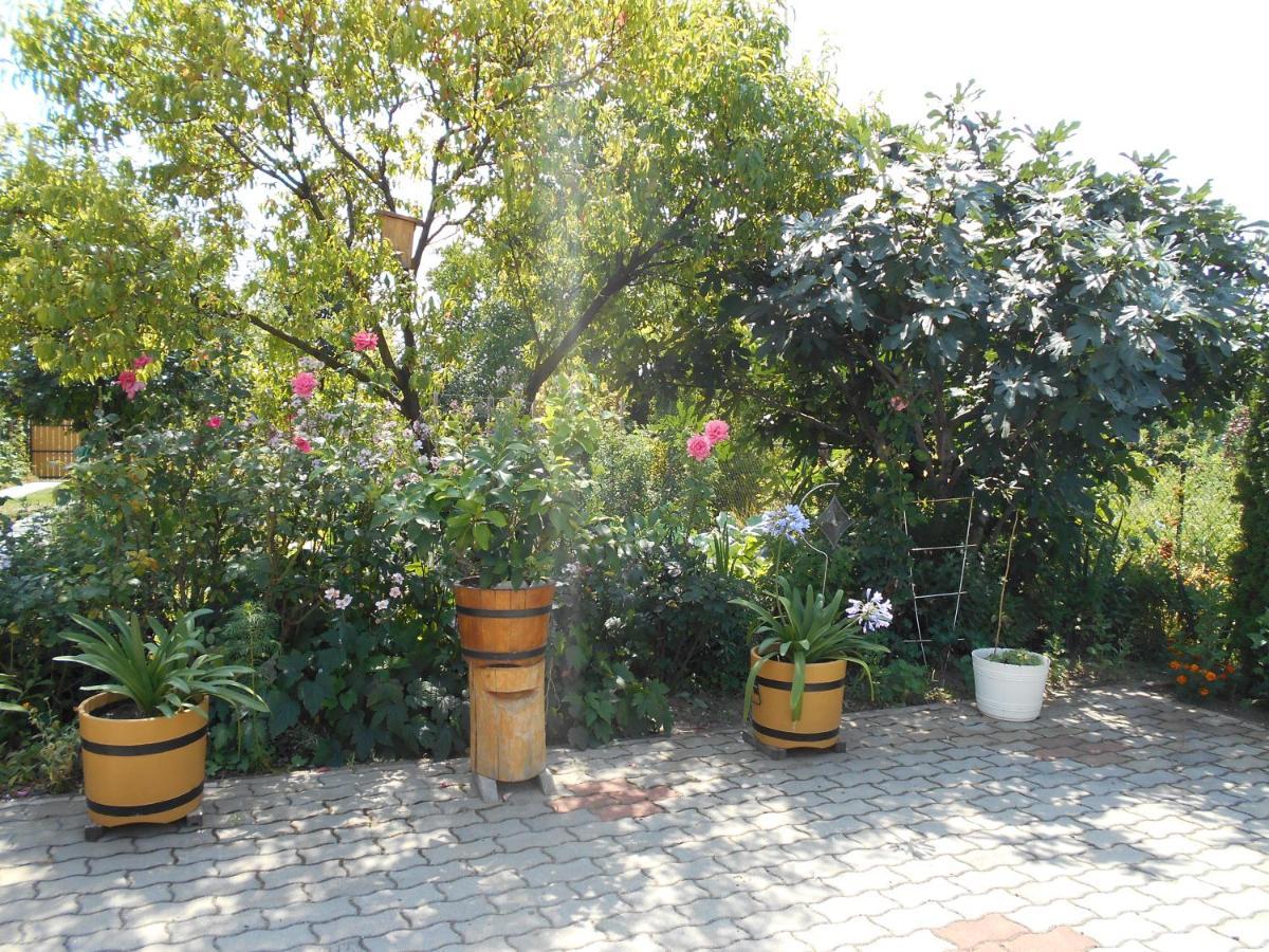 Bed and Breakfast Arpad Panzio Дьёр Экстерьер фото